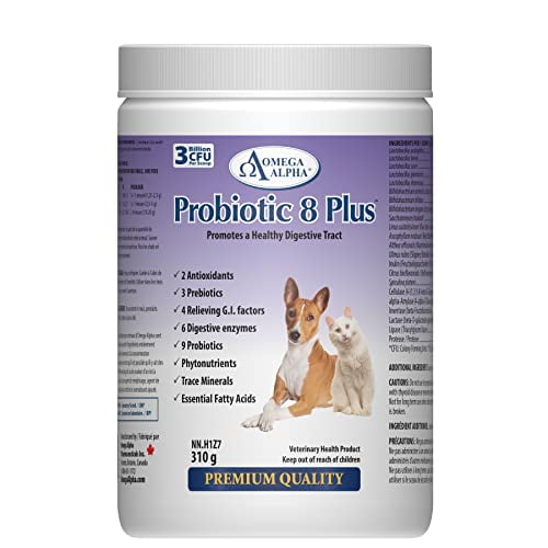 Omega Alpha Probiotic 8 Plus, Ensures Peak Digestive Performance, 310 g