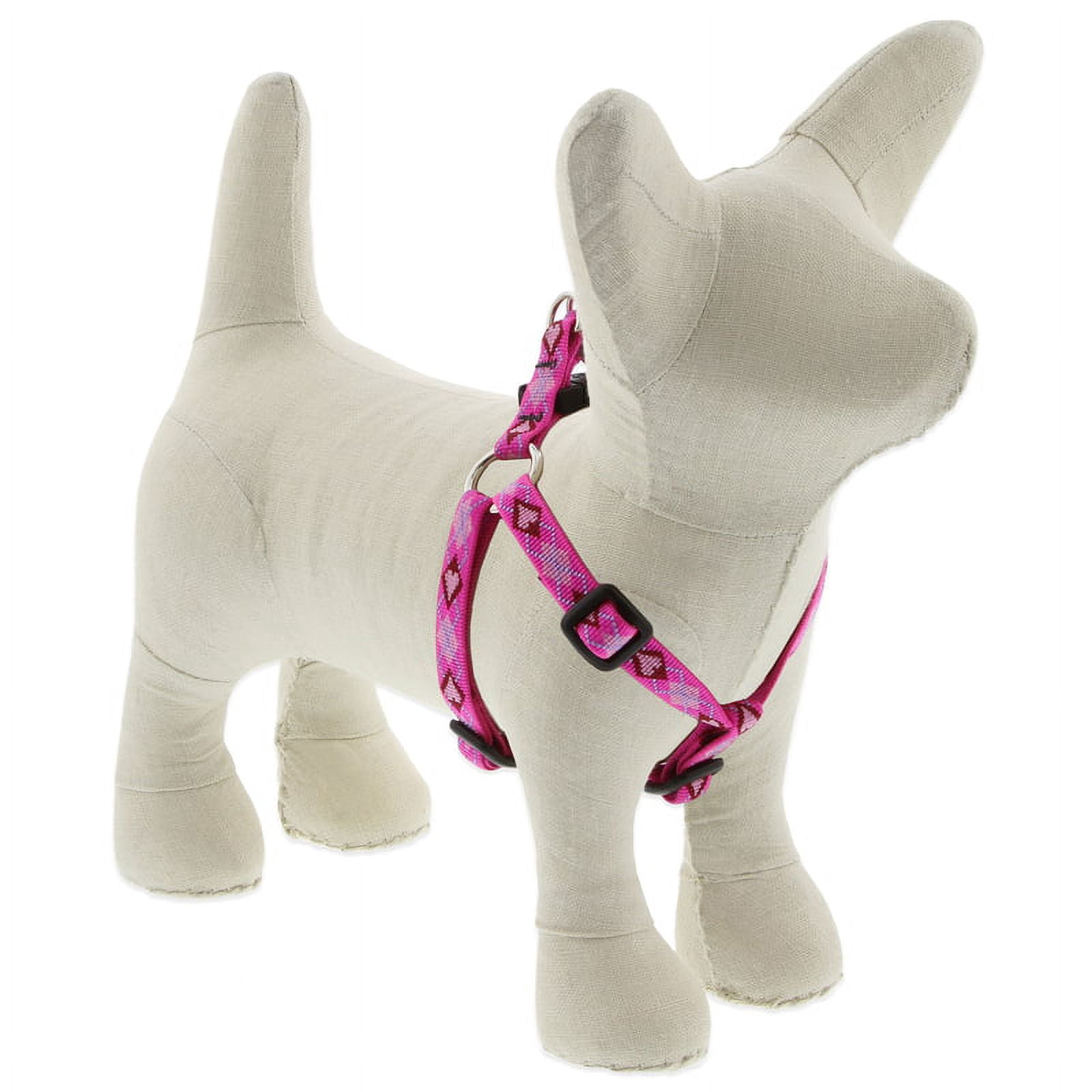 LupinePet Originals 1/2" Puppy Love 12-18" Step In Harness for Small Dogs