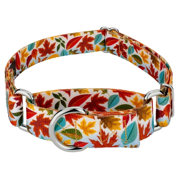 Country Brook Petz® Brisk Autumn Martingale Dog Collar, 2XS