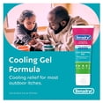 thumbnail image 2 of Benadryl Itch Stopping Gel, Extra Strength, 2 of 4