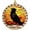 Crow 8, variant on Customized Suncatcher Crow, Crow Ornament, Crow Present Ideas, Crow for Trees - 2044TG10 tV6CMA