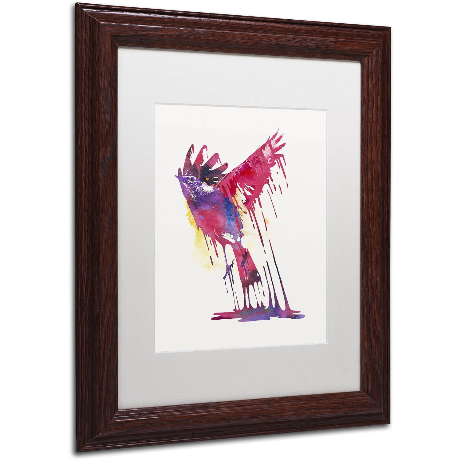 Trademark Fine Art 'The Great Emerge' Canvas Art by Robert Farkas, White Matte, Wood Frame