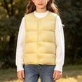 thumbnail image 3 of StSilkitty Puffer Vest for Boys Girls Sleeveless V Neck Button down Jacket Coat Fall Winter Warm Outerwear with Pockets, 3 of 8