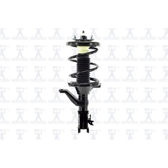 Suspension Strut and Coil Spring Assembly