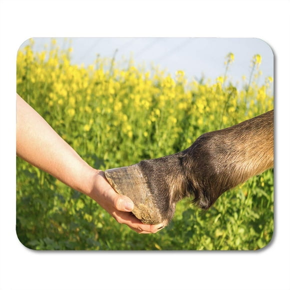 POGLIP White Human Horse Hoof Hand Leg Arms Big Mousepad Mouse Pad Mouse Mat 9x10 inch