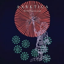 Aarktica - We Will Find The Light - Music & Performance - CD