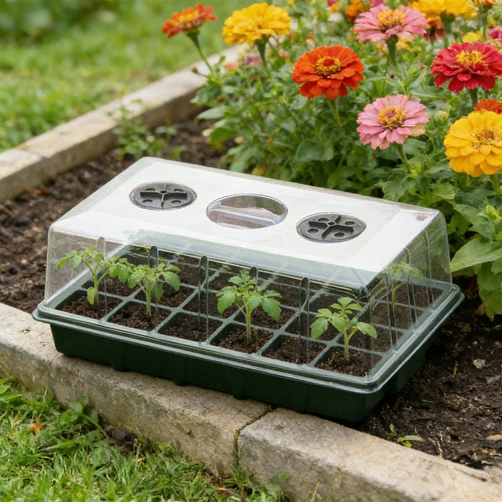 Cell Seed Starter Tray, Mini Propagator Plant Greenhouse for Seed Growing, Plug Seedling Trays, Plant Germination Tray with Humidity Vented Lid and Base