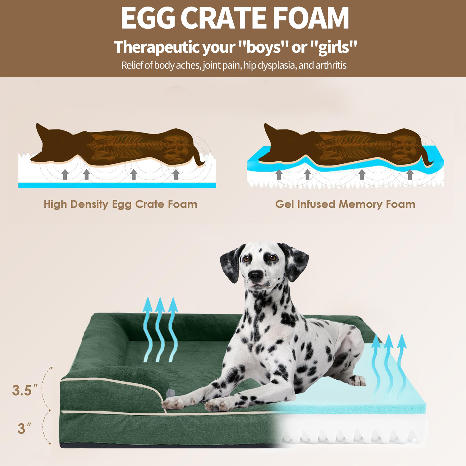 PayUSD XXL Orthopedic Dog Bed, Memory Foam Dog Sofa Beds for Giant Dogs, Supportive Foam Pet Couch Bed with Removable Washable Cover and Nonskid Bottom, Dark Green (52" L x 41" W x 8" Th)