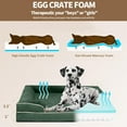 thumbnail image 3 of PayUSD Orthopedic Dog Bed for Large Dogs Memory Foam Dog Sofa Beds with Sides Non-Slip Bottom and Egg-Crate Foam Dog Couch Bed with Removable Washable Cover, Dark Green (35" L x 25" W x 6.5" Th), 3 of 8