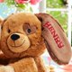 thumbnail image 5 of Abrazando a cachorros de peluche, hagamos recuerdos personalizados, 5 of 9