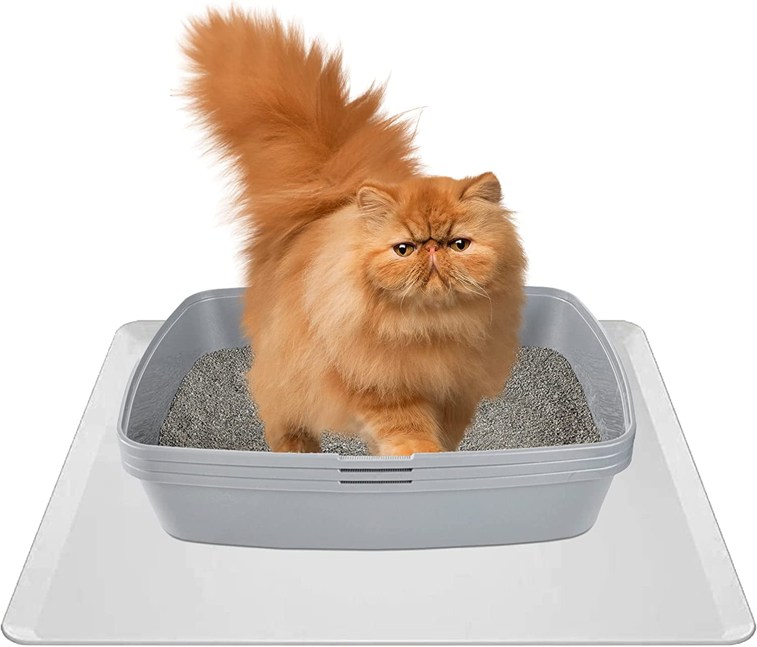 Skywin Spotless Spring Cat Litter Mat Medium Grey – 24x24 Inch Durable Silicone Cat Litter Mat Litter Trapping Mat for Underneath Litter Box – Lightweight Mat for Cat Litter Box (Grey)