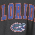 thumbnail image 4 of Men's Colosseum Charcoal Florida Gators Arch & Logo Crew Neck Sweatshirt, 4 of 4
