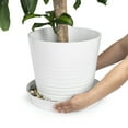 thumbnail image 4 of Austin Planter 6 inch(4.5 inch Base) Plant Saucer Single White Granite Colored Polypropylene Made in USA, 4 of 7