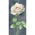 thumbnail image 3 of Wilson, Kelsey 9x14 Black Modern Framed Museum Art Print Titled - Ivory Roses on gray panel I, 3 of 5