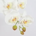 thumbnail image 2 of Tallos de orquídeas Flores artificiales Real Touch Látex Faux Phalaenopsis Ramas 9 Flores grandes 38 pulgadas brillar Juguete, 2 of 6
