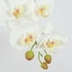 thumbnail image 2 of Tallos de orquídeas Flores artificiales Real Touch Látex Faux Phalaenopsis Ramas 9 Flores grandes 38 pulgadas brillar Juguete, 2 of 6