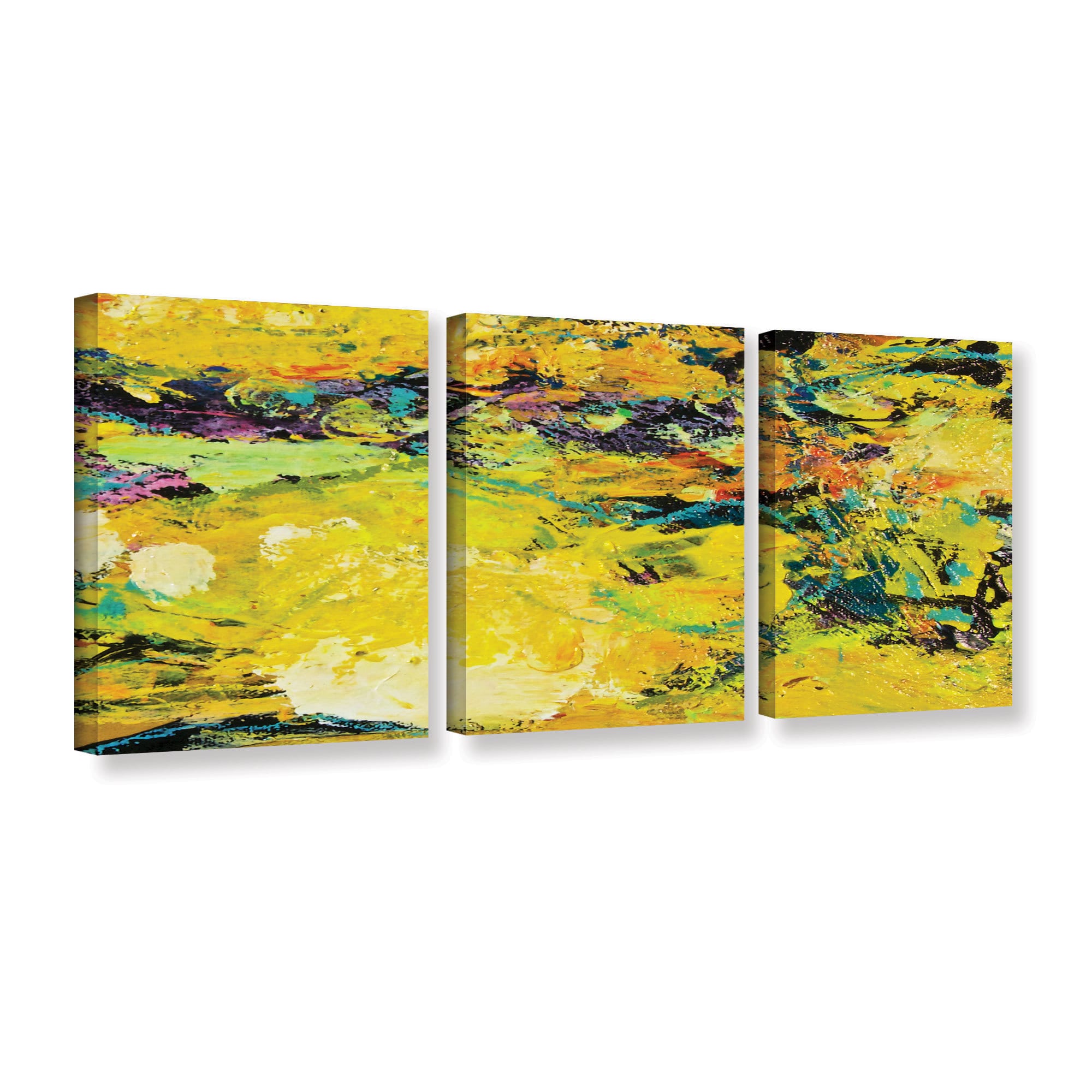 ArtWall Allan Friedlander "Watermelon Patch" 3-Piece Gallery-wrapped Canvas Set