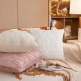 thumbnail image 4 of Throw Pillow Cover Plush: 2PCS Modern Pillow Case Cushion Cover Pillow Protector, 4 of 10