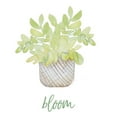 thumbnail image 3 of Loreth, Lanie 15x15 Black Modern Framed Museum Art Print Titled - Bloom, 3 of 5