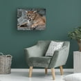 thumbnail image 4 of Robert Michaud 'Cougar 2' Canvas Art, 4 of 4