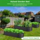 thumbnail image 3 of QinaQin Juego de 2 camas elevadas ovaladas de metal galvanizado para jardín de 4.5 x 2 x 1 pies, base abierta y borde de goma, ideal para flores, frutas y verduras, 3 of 8