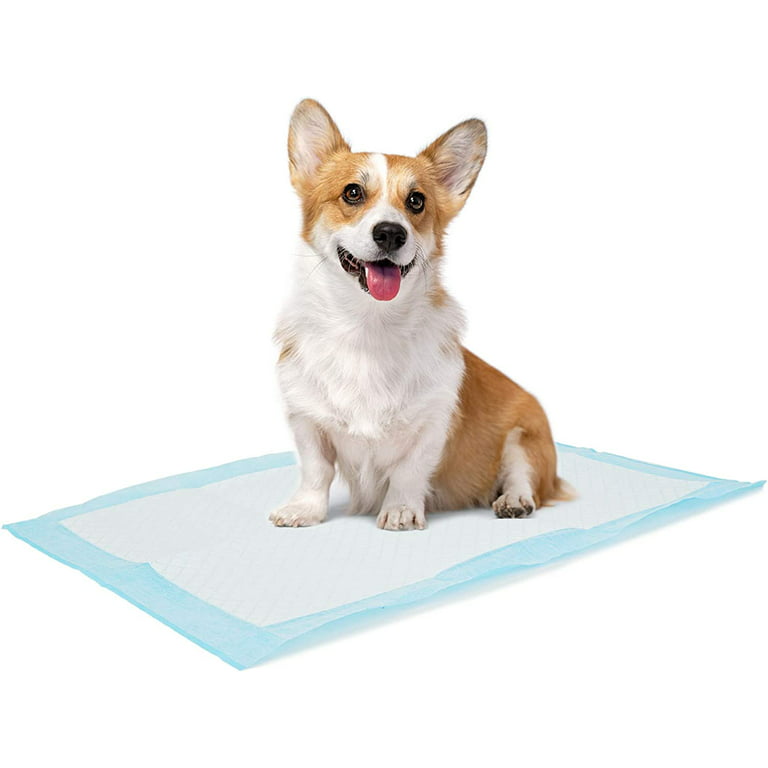 BV Pet Potty Training Pads for Dogs Puppy Pads, 17 x 24 Training Pad, 100 Count Dog Pee Pads, Doggie Pads, Disposable Puppy Pee Pads for Cat, Rabbit
