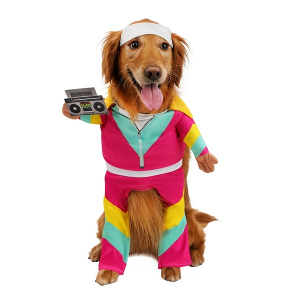 Track Suit 1980s Pet Costume