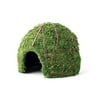Galapagos Mossy Dome Terrarium Hideaway, Fresh Green, 1 Each/9 in