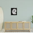 thumbnail image 3 of Stupell Industries Spiral Sea Life Beach Shell Modern Fractal Graphic Art Luster Gray Floating Framed Canvas Print Wall Art, Design by Graffitee Studios, 3 of 5