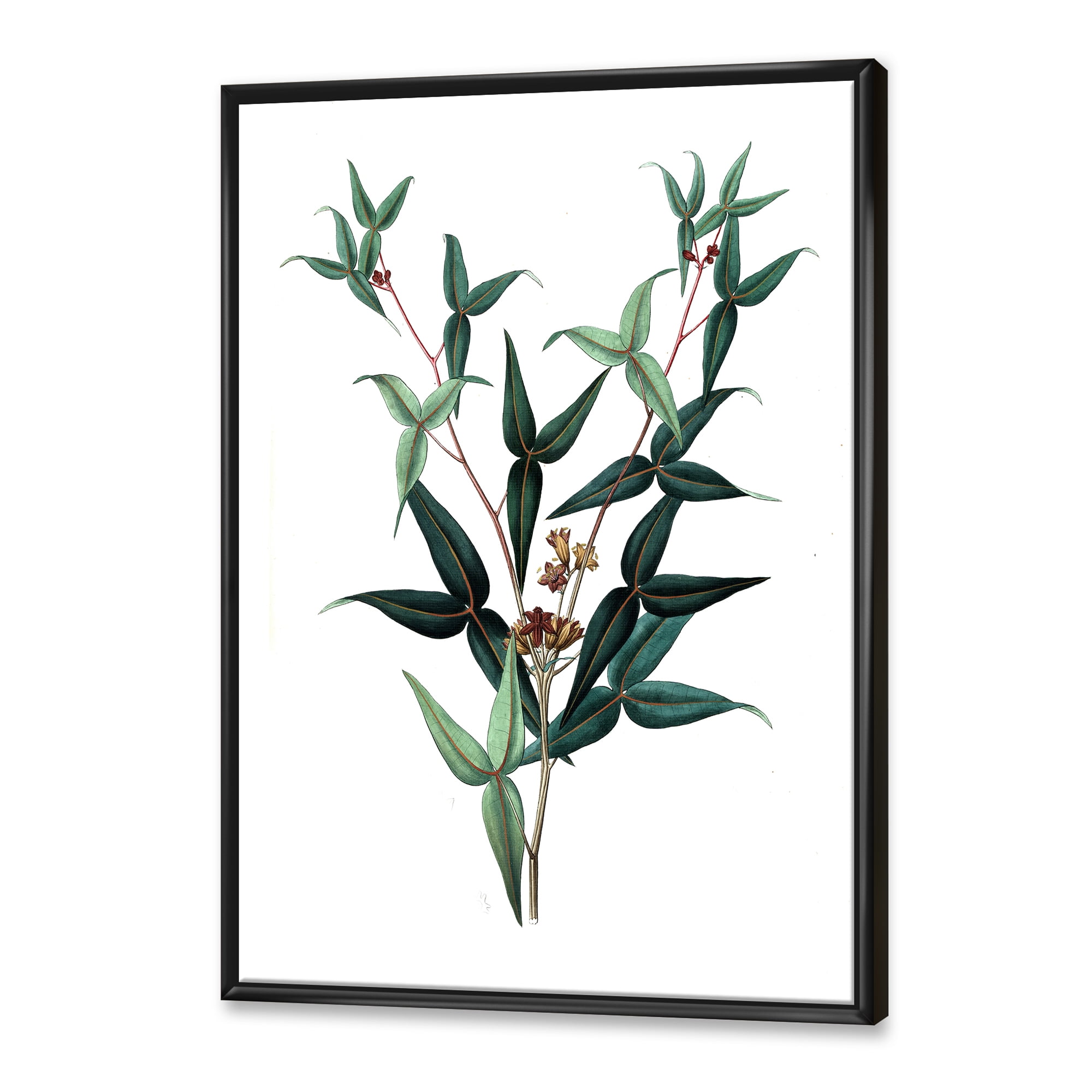 Designart 'Ancient Green Leaves Plants VIII' Traditional Framed Canvas Wall Art Print