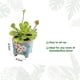thumbnail image 2 of Simulación de suculentas bonsái, adornos creativos, mesa de comedor de flores, plantas de interior, plantas verdes en macetas, 2 of 5
