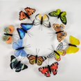 thumbnail image 3 of Adorno colgante Berfutall con plumas y mariposas, juego de 12 piezas, 9 cm, 3 of 6
