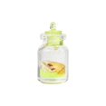 thumbnail image 2 of EWASWON Glow in the Dark Keychain, Mini Acrylic Bottle Pendant with Seashells, Luminous Night Light Charm for Backpack Purse Bag, Beach Themed Small Gift for Women and Gi-rls, 2 of 6