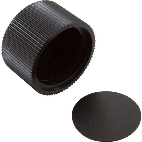 Pentair Drain Cap with Gasket, swimming pool and spa Sand Filters 154712Z