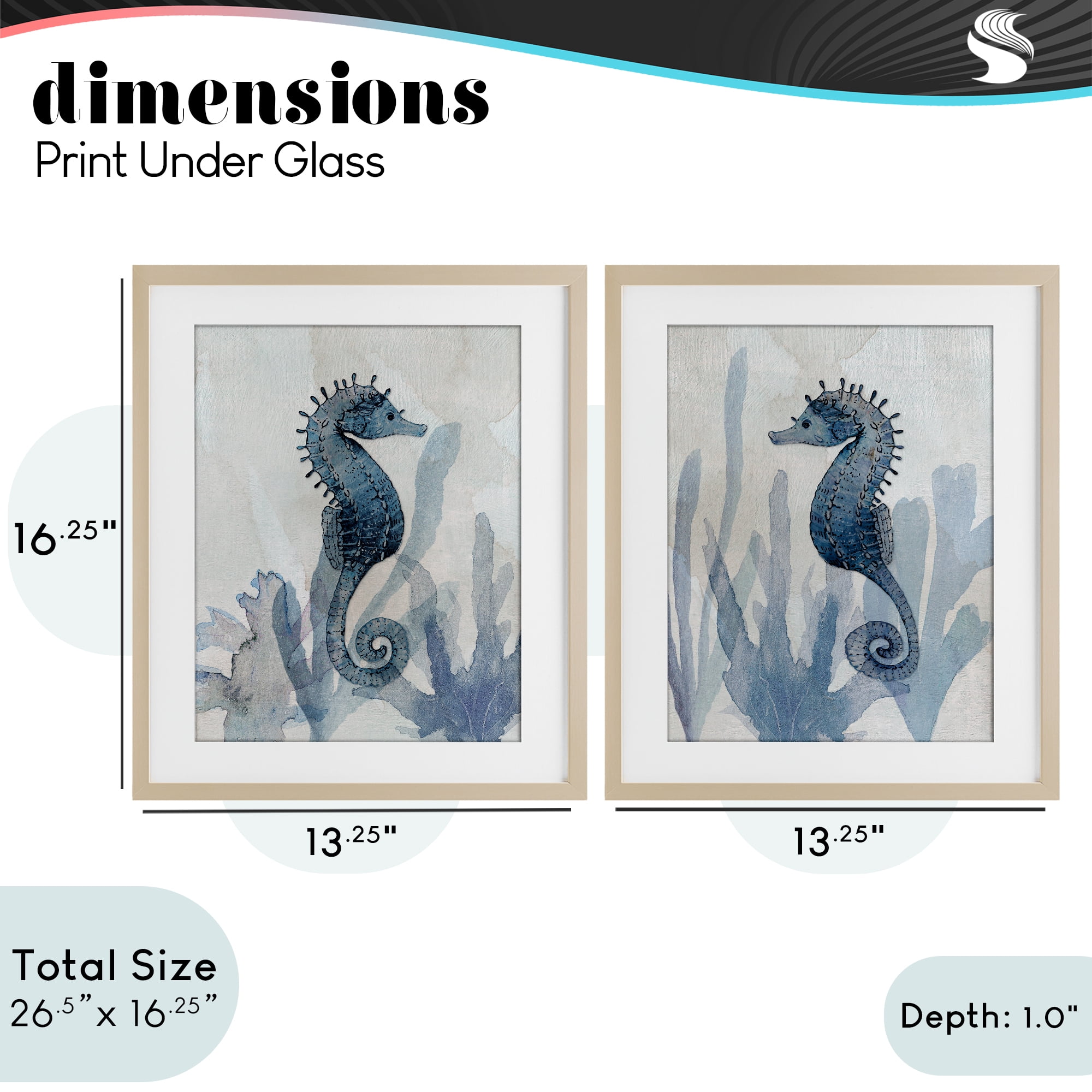 Stupell Industries Impressions of Seahorses 2 Piece Birch Framed Print Under Glass Set, design by Susan Jill