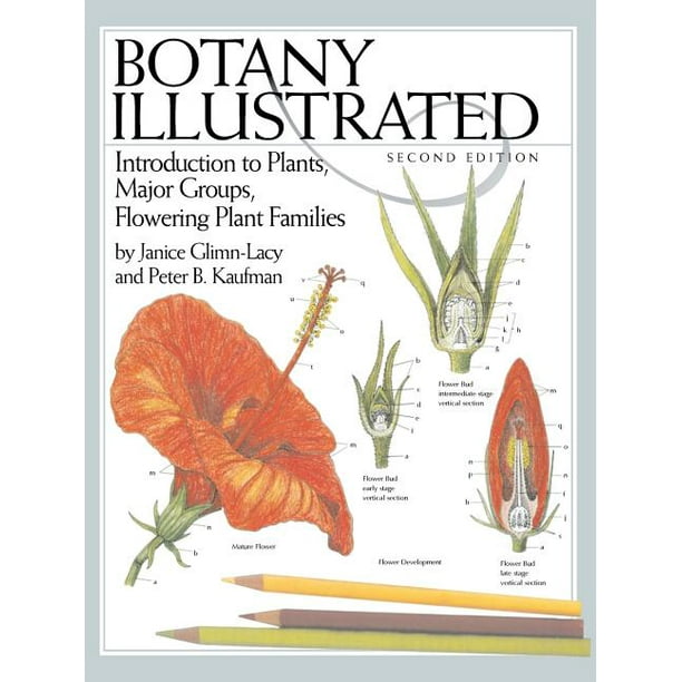 Botany Illustrated Introduction to Plants, Major Groups, Flowering Plant Families (Edition 2