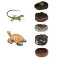 thumbnail image 3 of animales Recipiente de resina Alimento 01 Yuyangstore Recipiente de alimentación de reptiles para mascotas, 3 of 8