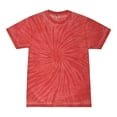 thumbnail image 2 of Colortone Festival Tie Dye Burnout T-Shirts Adult Unisex Men Cotton 100%, 2 of 4