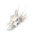 thumbnail image 2 of Acuario dinosaurio cráneo resina cráneo modelo artesanía cueva paisaje escultura ornamento pecera decoración para escritorio hogar agua dulce Pequeño, 2 of 8