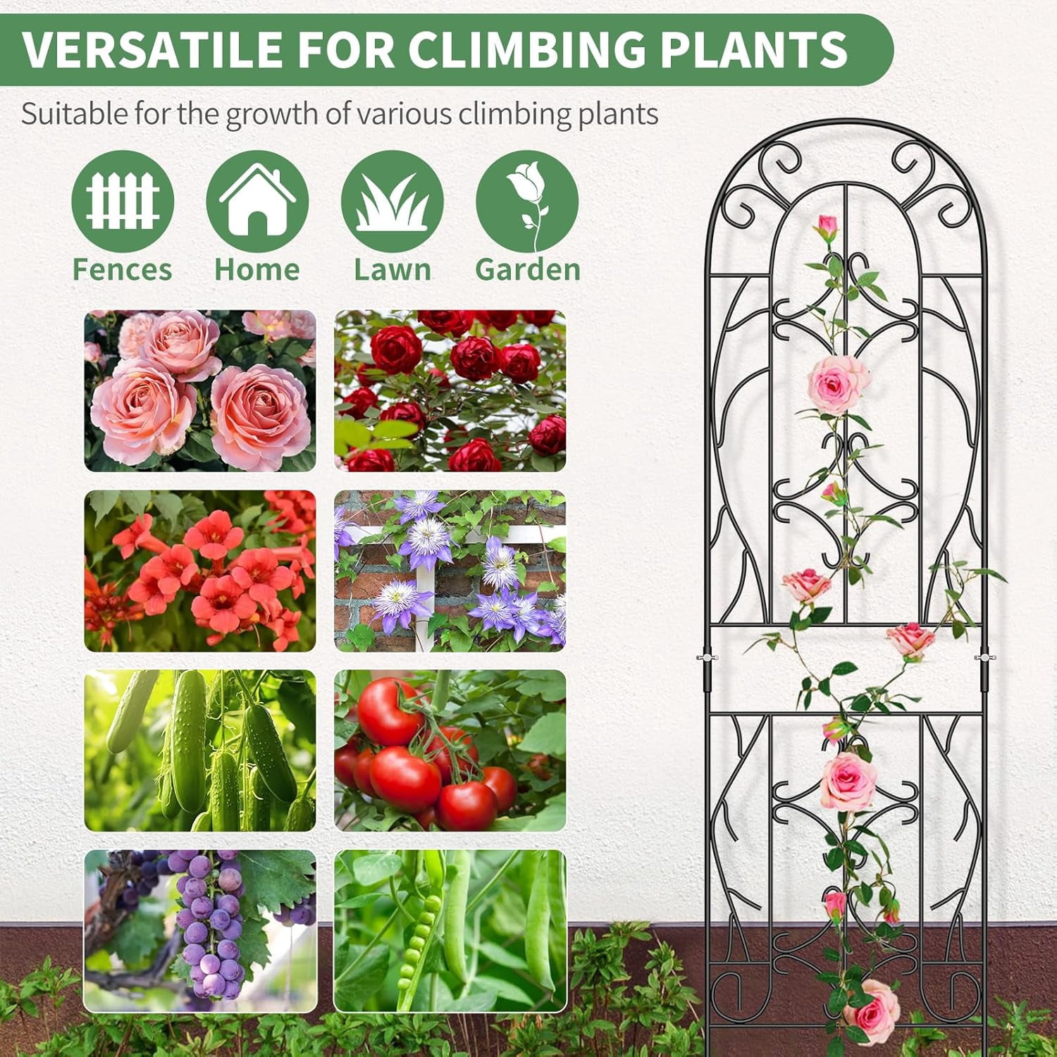 ABORON 4 Pack Metal Garden Trellis for Climbing Plants Outdoor, Metal Plant Trellis for Flowers Tomato Cucumber Rose Vegetable Support Garden Decoration