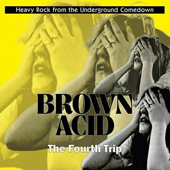 Various Artists - Brown Acid: Fourth Trip (Various Artists) - Music & Performance - Vinyl