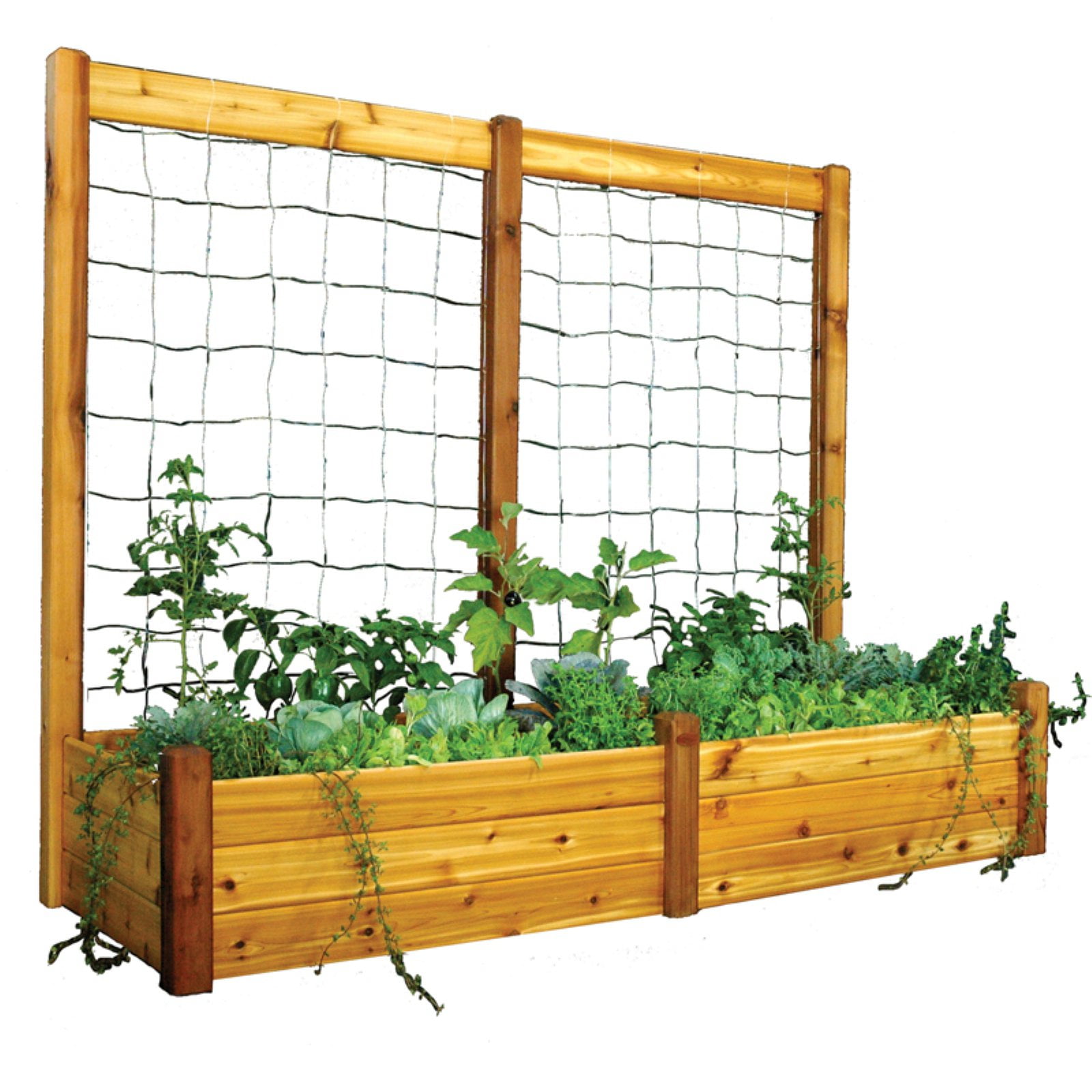 Gronomics 34l X 95w X 19h In Raised Garden Bed With Trellis Kit