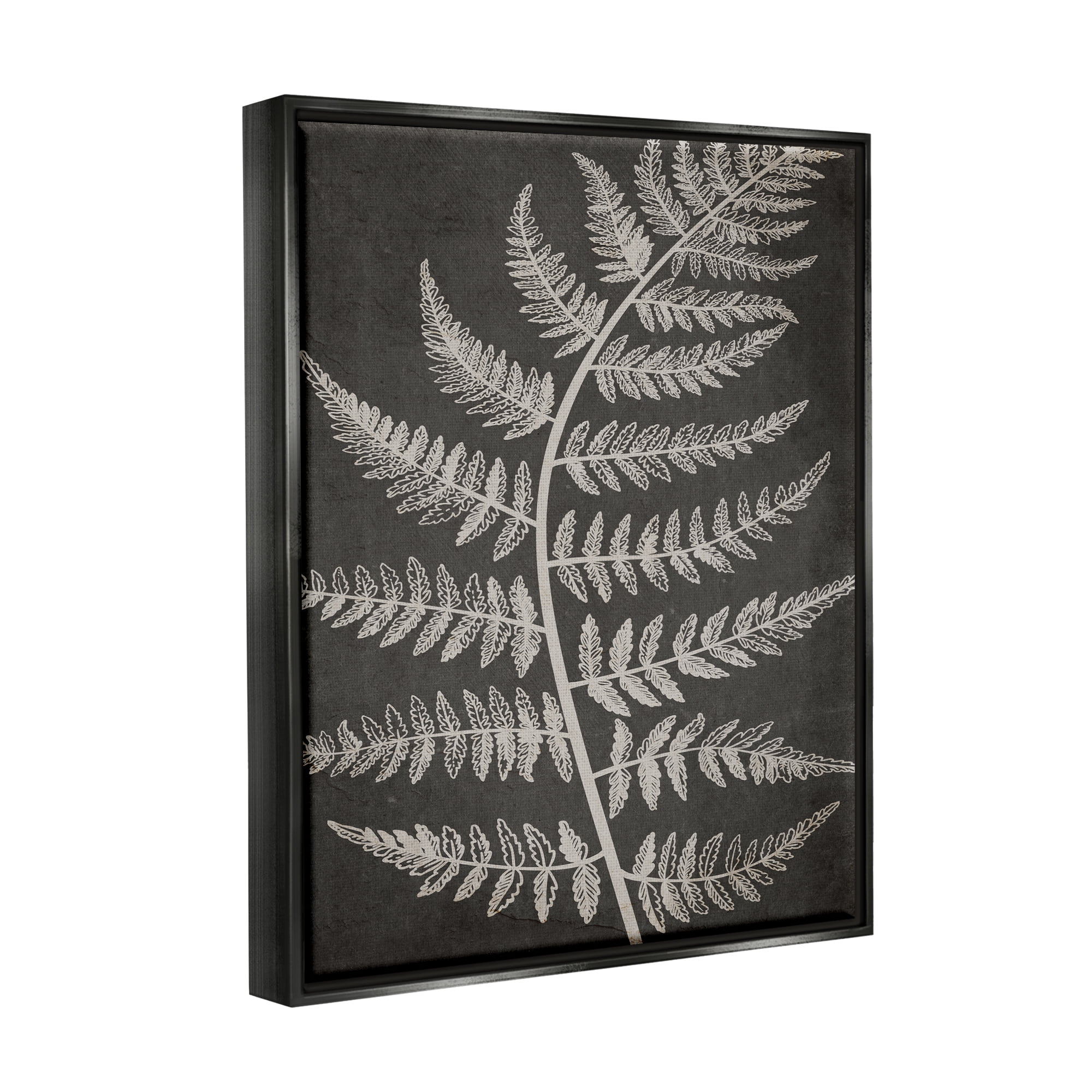 Stupell Industries Woodland Fern Outline Botanical & Floral Painting Black Floater Framed Art Print Wall Art, 17 x 21