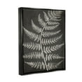 thumbnail image 4 of Stupell Industries Woodland Fern Outline Botanical & Floral Painting Black Floater Framed Art Print Wall Art, 17 x 21, 4 of 10