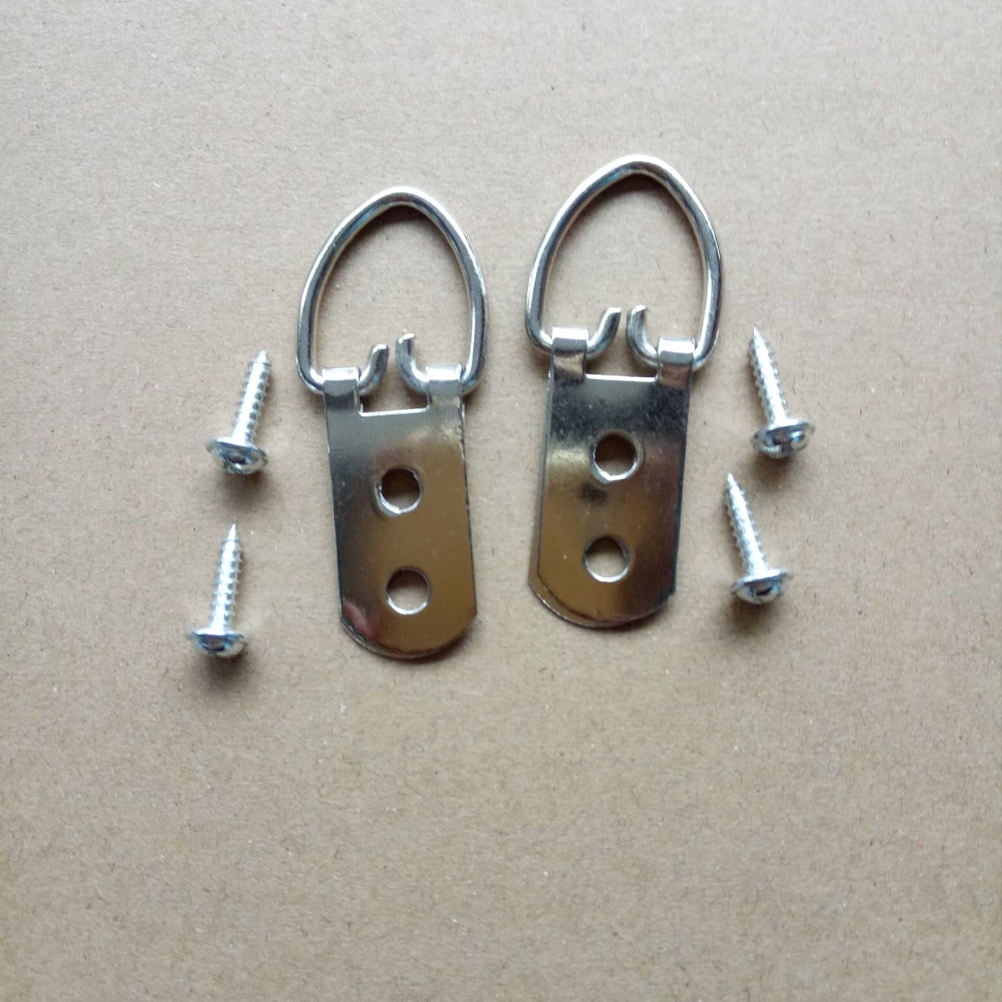 IDEANATEGRATE 50Pcs Picture Frame Wall Hooks Metal D Rings for Hobbyists 11.8x0.63x0.2in