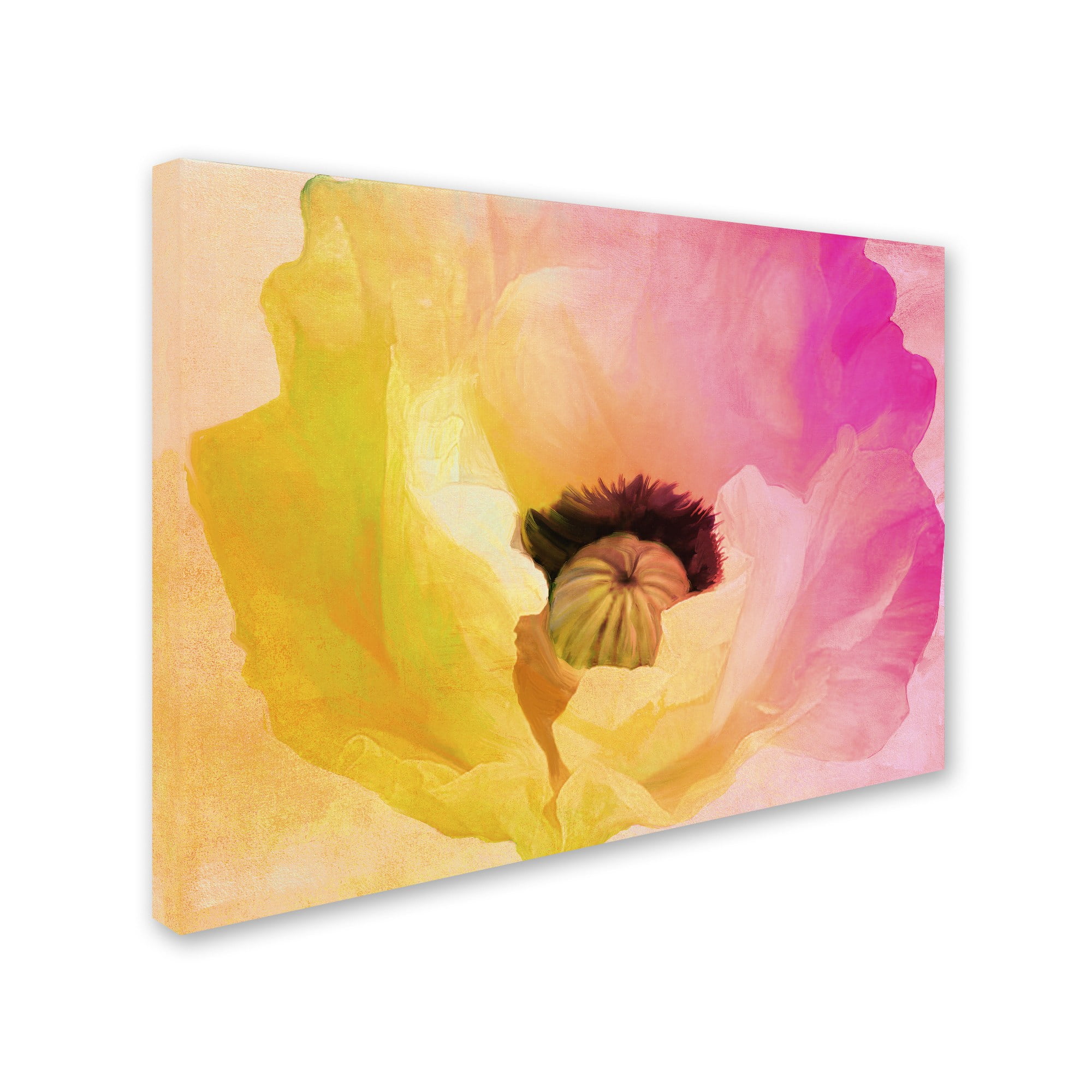 Trademark Fine Art "Poppy Gradient II" Canvas Art by Color Bakery