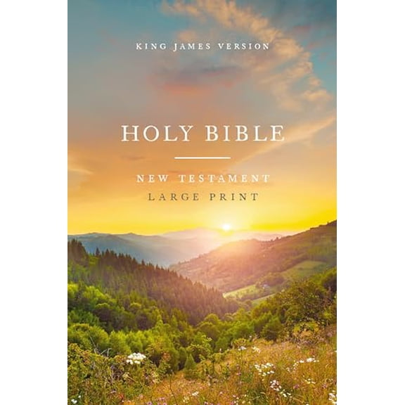 Pre-Owned KJV Large Print Outreach New Testament Bible, Scenic Softcover, Comfort Print (Paperback) 1400343623 9781400343621