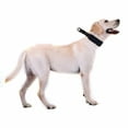 thumbnail image 5 of SPRING PARK Adjustable Reflective Dog Collar Cat Head Buckle Neck Strap Collar Bell Puppy, 5 of 7