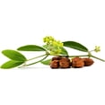 thumbnail image 2 of 3 Botellas Aceite De Jojoba Puro Y Natural, Color Rojo Tipo de piel Normal, 2 of 6