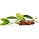 thumbnail image 2 of 3 Botellas Aceite De Jojoba Puro Y Natural, Color Rojo Tipo de piel Normal, 2 of 6